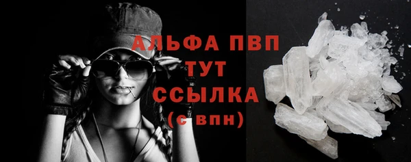 индика Лихославль