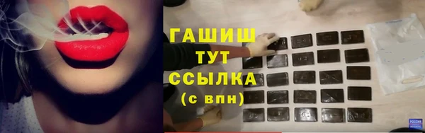 индика Лихославль