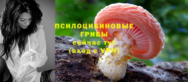 прущая мука Лиски