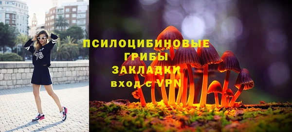 индика Лихославль