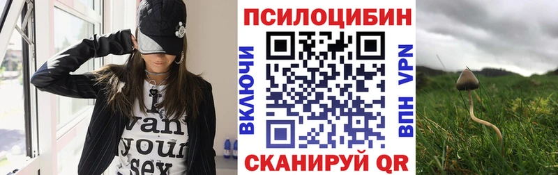 Купить закладки  Починок  Псилоцибиновые грибы мицелий 